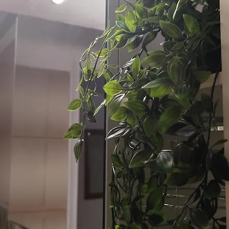 ευρύχωρο και άνετο στην ιτέα Joanna's アパート *