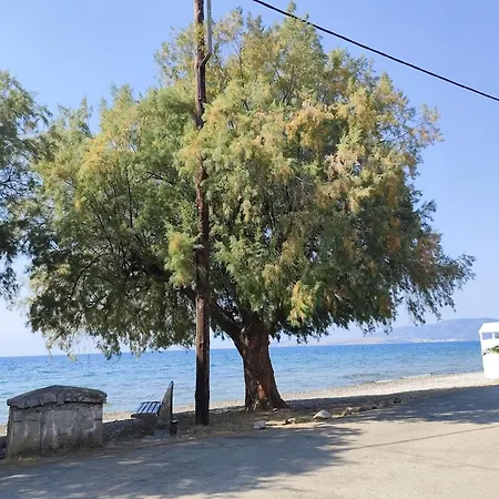 ευρύχωρο και άνετο στην ιτέα Joanna's * Kirra