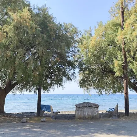 ευρύχωρο και άνετο στην ιτέα Joanna's